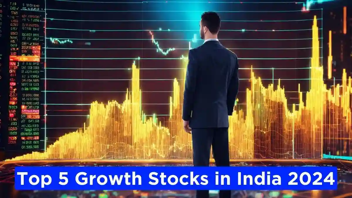 Top 5 Growth Stocks in India in 2024