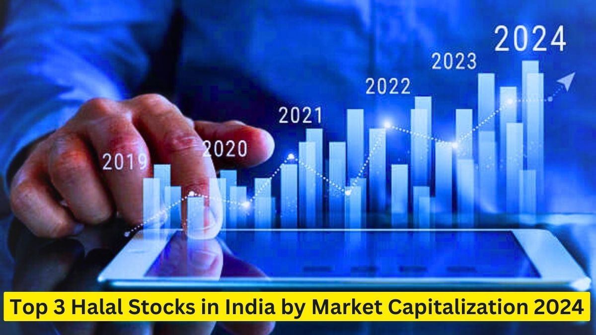 Halal Stocks in India by Market Capitalization 2024