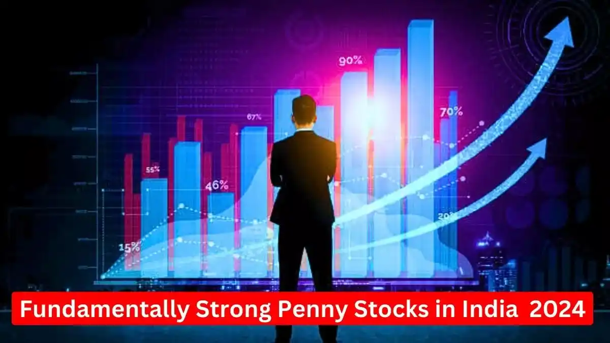 Fundamentally Strong Penny Stocks In India 2024 6095