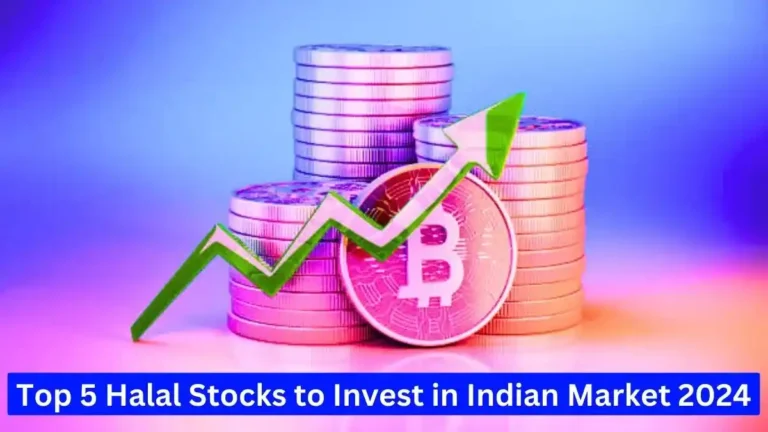 Top 5 Halal Stocks to Invest in Indian Market 2024