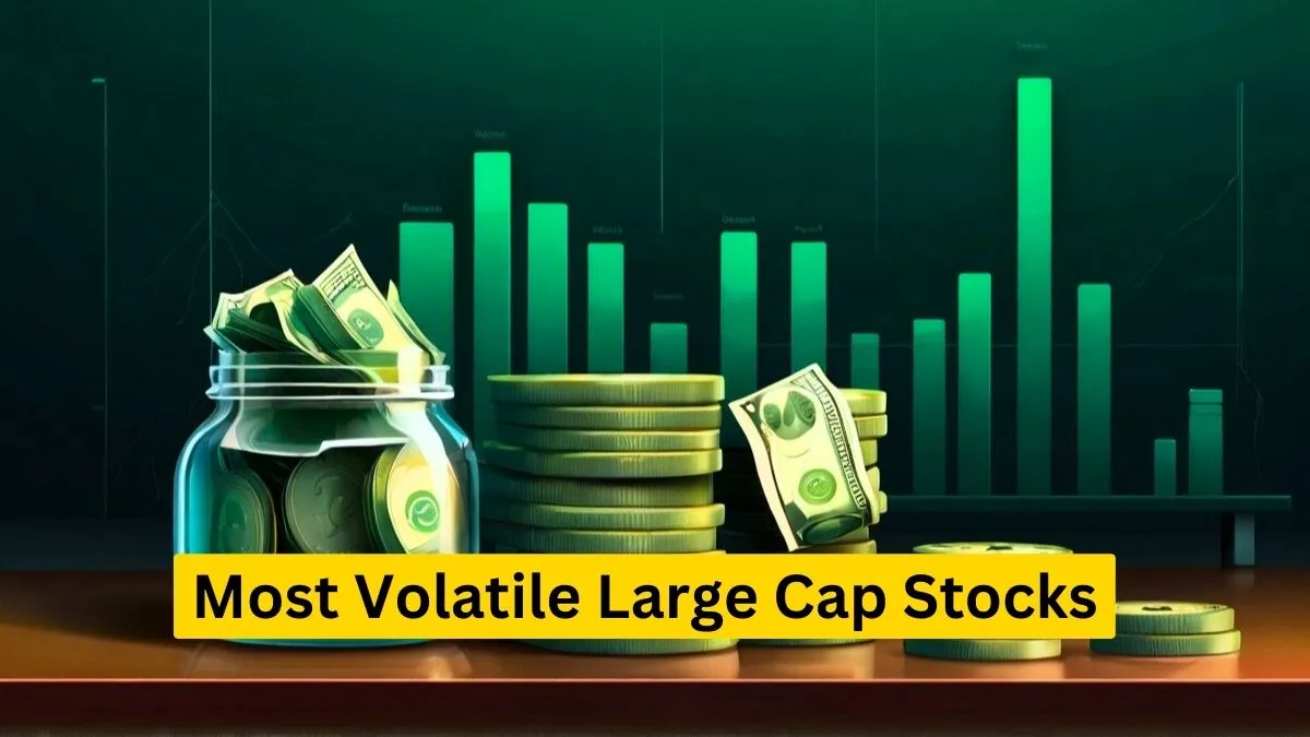 Most Volatile Large Cap Stocks